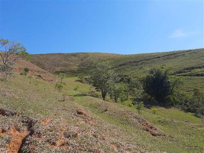 Terreno à Venda